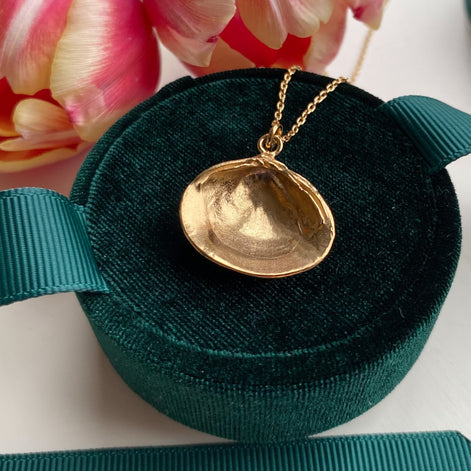 Venus Shell Necklace