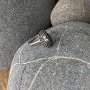 Sterling Silver Limpet Shell Ring
