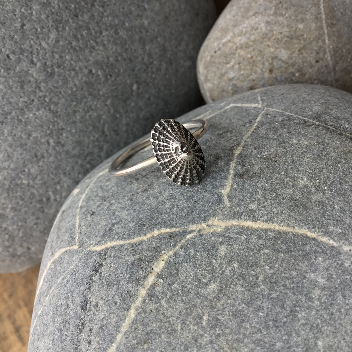 Sterling Silver Limpet Shell Ring