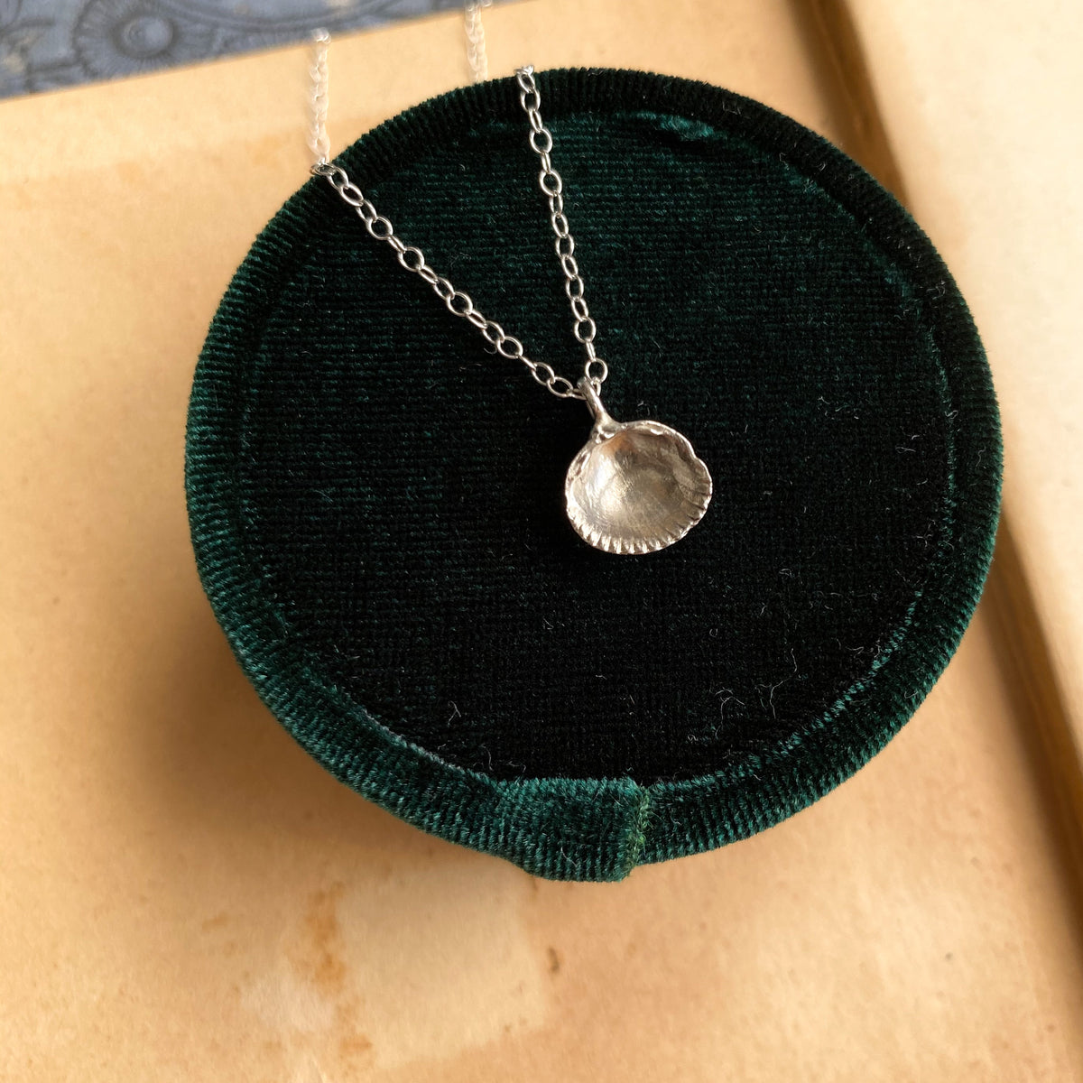 Small Cockle Shell Necklace