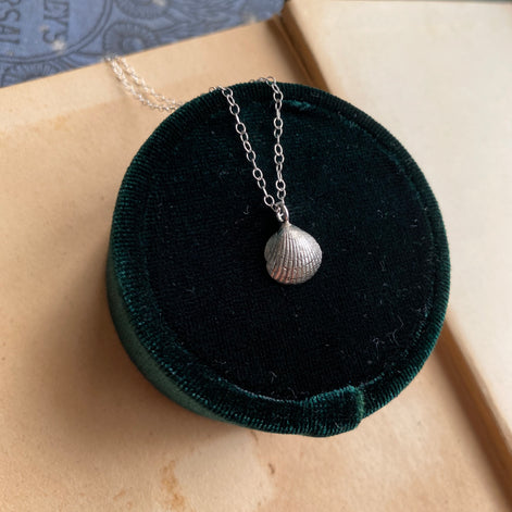 Small Cockle Shell Necklace