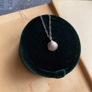Small Cockle Shell Necklace