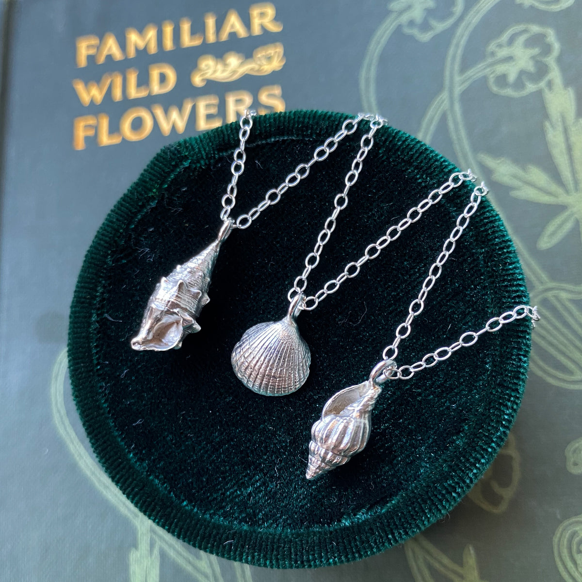 Small Cockle Shell Necklace