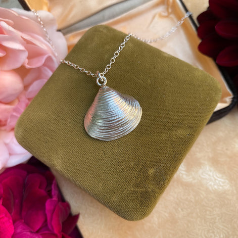 Venus Shell Necklace