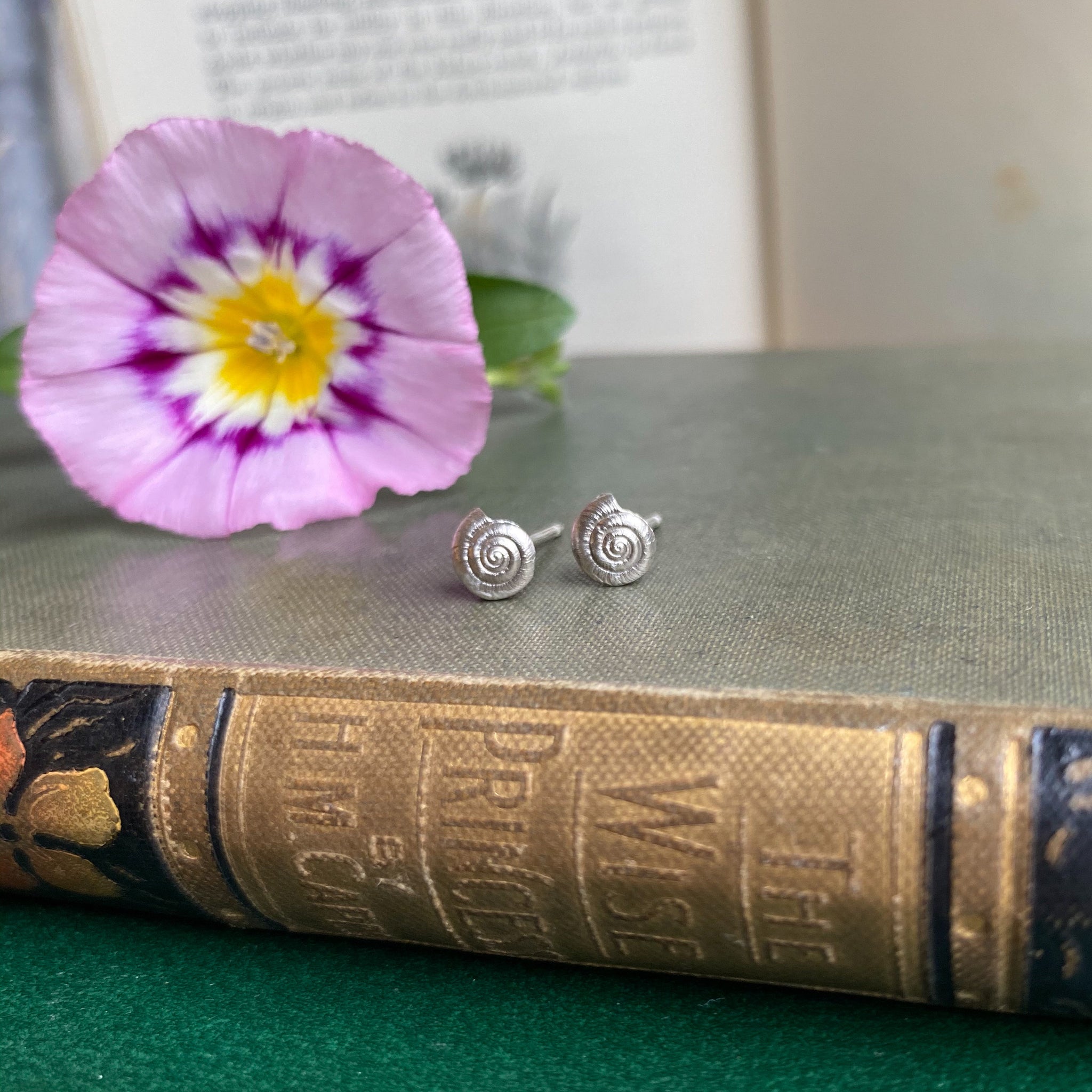 Mini Shell Stud Earrings – Hannah Kyriakou Design Mini Shell Stud Earrings – Hannah Kyriakou Design