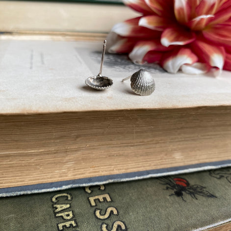 Cockle Shell Stud Earrings