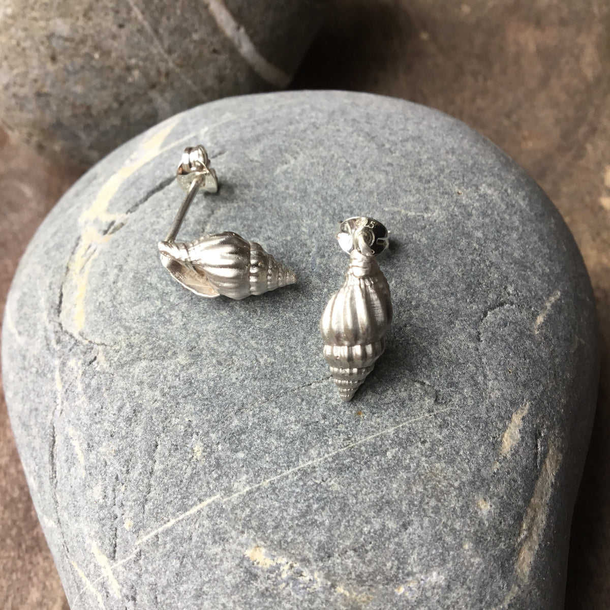 Spiral Shell Stud Earrings