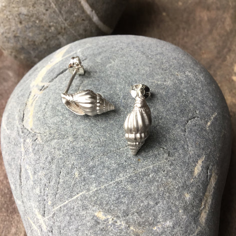 Spiral Shell Stud Earrings