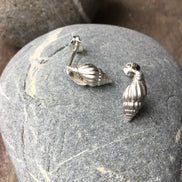Spiral Shell Stud Earrings