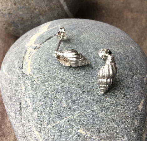 Spiral Shell Stud Earrings