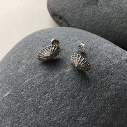 Limpet Shell Stud Earrings