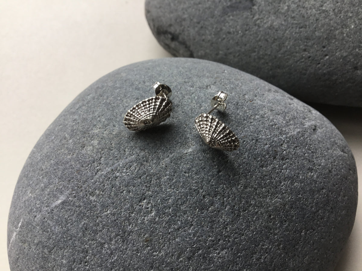 Limpet Shell Stud Earrings