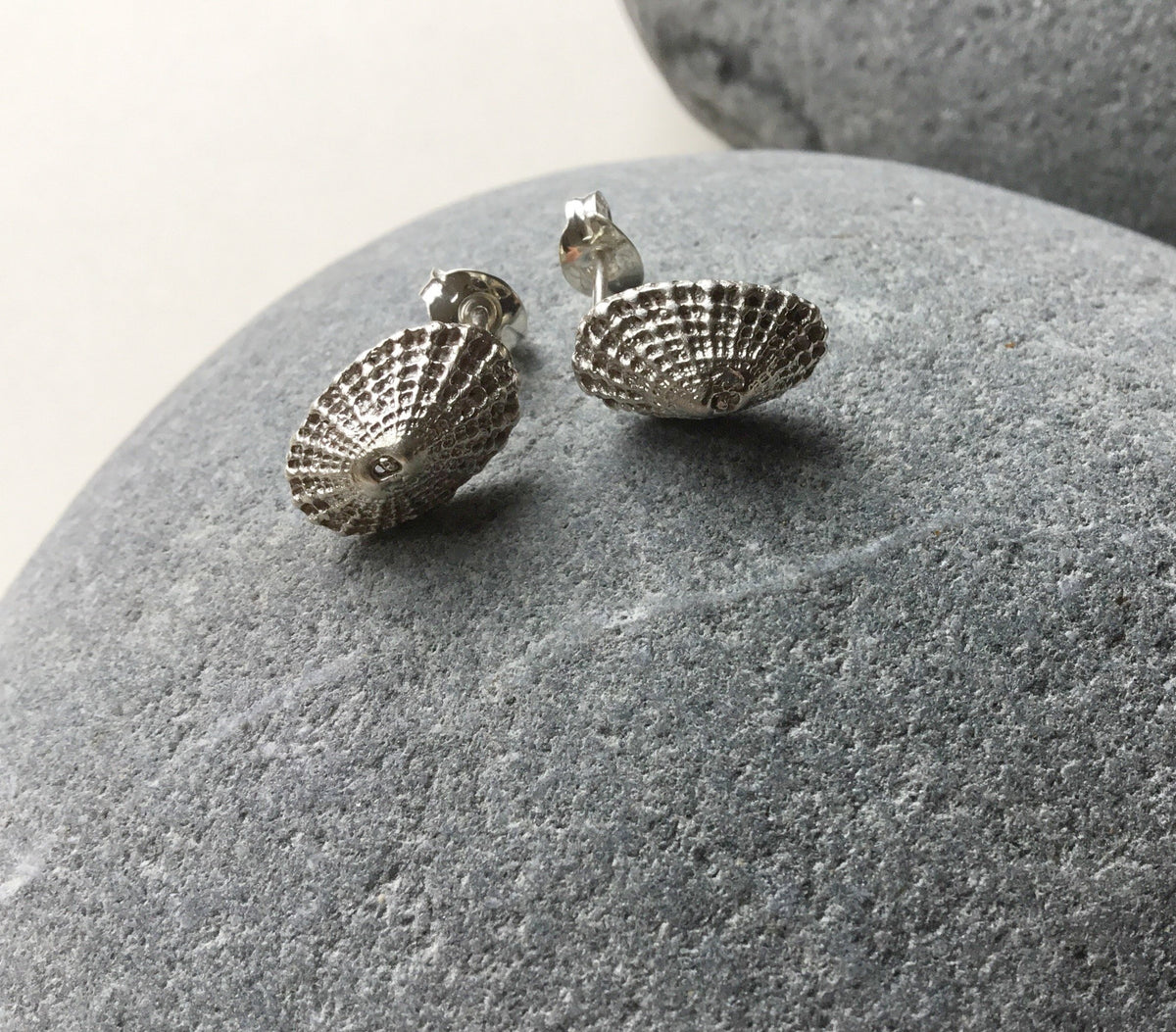 Limpet Shell Stud Earrings