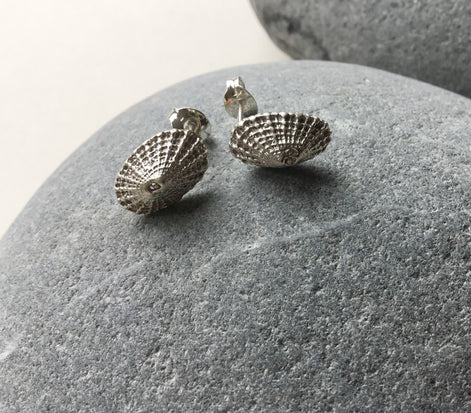 Limpet Shell Stud Earrings